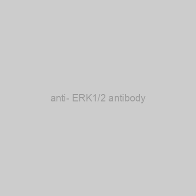 FN Test - anti- ERK1/2 antibody